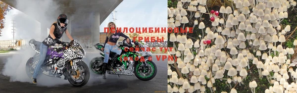 мяу мяу мука Майский