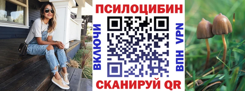 Купить закладки Невель Псилоцибиновые грибы GOLDEN TEACHER
